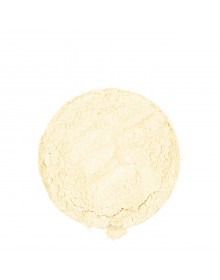 ČESNEK MLETÝ 500g