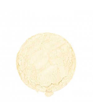 ČESNEK MLETÝ 500g
